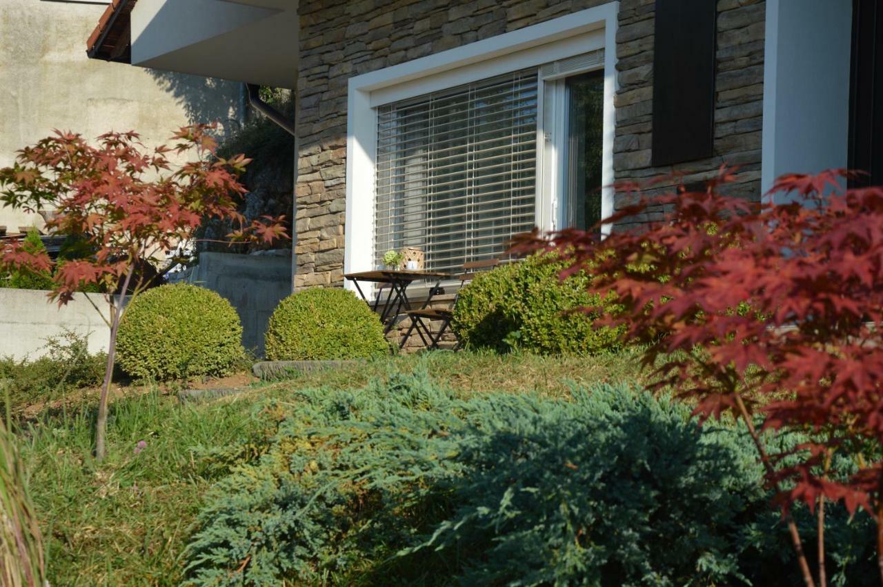 Maple Place Pivka Exterior photo
